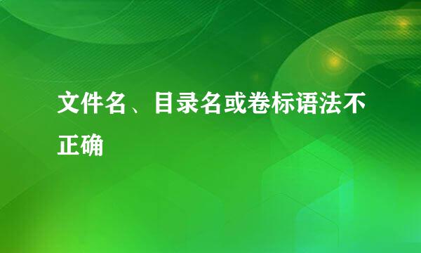 文件名、目录名或卷标语法不正确