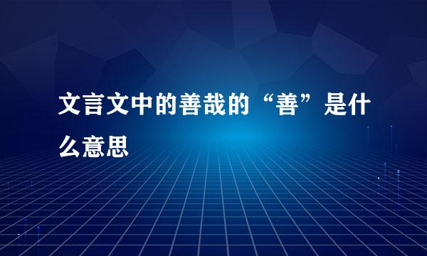 文言文中的善哉的“善”是什么意思