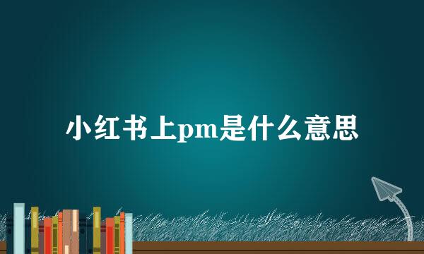 小红书上pm是什么意思