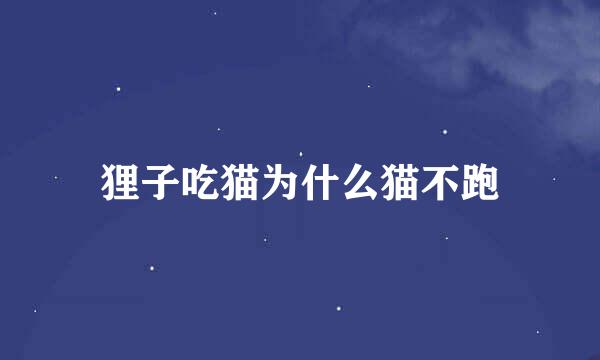 狸子吃猫为什么猫不跑