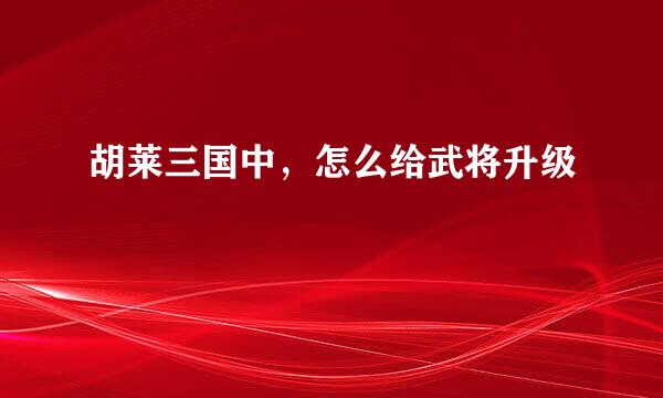 胡莱三国中，怎么给武将升级