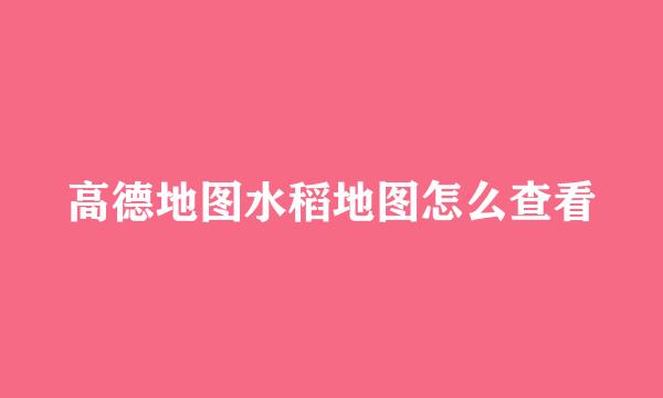高德地图水稻地图怎么查看
