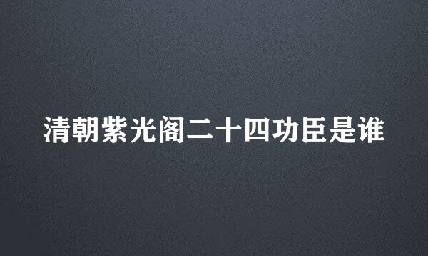 清朝紫光阁二十四功臣是谁
