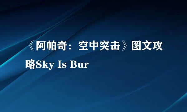 《阿帕奇：空中突击》图文攻略Sky Is Bur