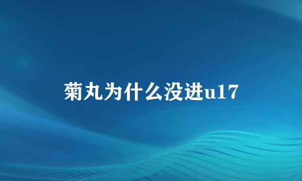 菊丸为什么没进u17