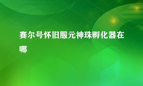 赛尔号怀旧服元神珠孵化器在哪