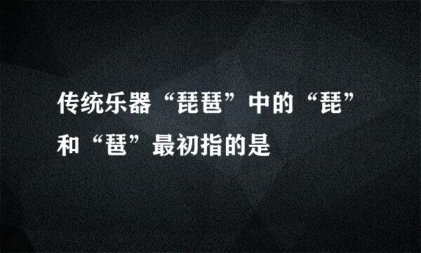 传统乐器“琵琶”中的“琵”和“琶”最初指的是