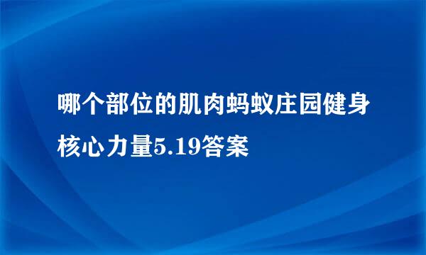 哪个部位的肌肉蚂蚁庄园健身核心力量5.19答案