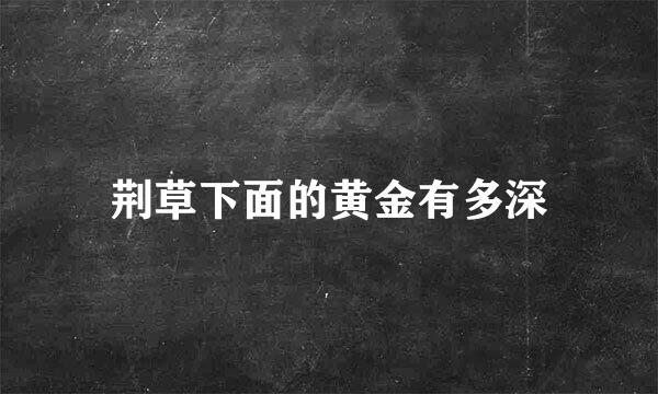 荆草下面的黄金有多深