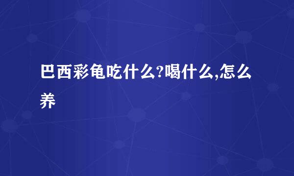 巴西彩龟吃什么?喝什么,怎么养