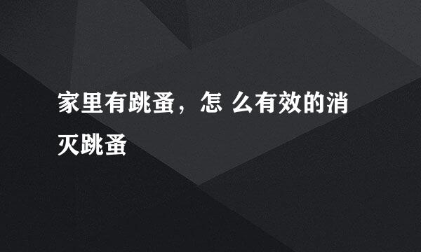 家里有跳蚤,怎 么有效的消灭跳蚤