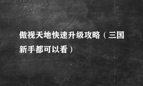 傲视天地快速升级攻略（三国新手都可以看）