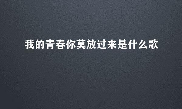 我的青春你莫放过来是什么歌