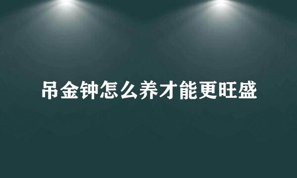 吊金钟怎么养才能更旺盛