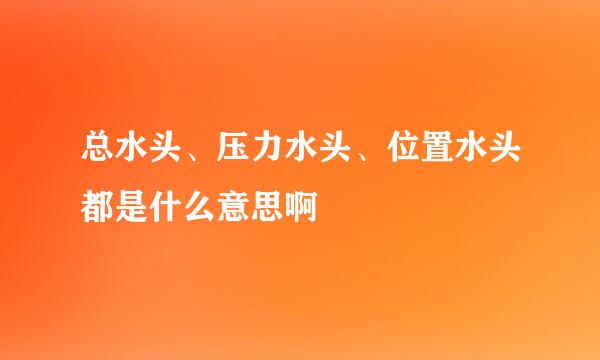 总水头、压力水头、位置水头都是什么意思啊