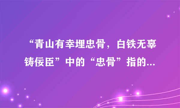 “青山有幸埋忠骨，白铁无辜铸佞臣”中的“忠骨”指的是什么？“佞臣”指的是什么