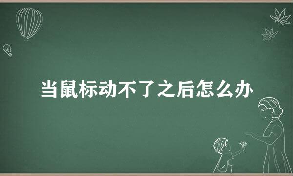 当鼠标动不了之后怎么办