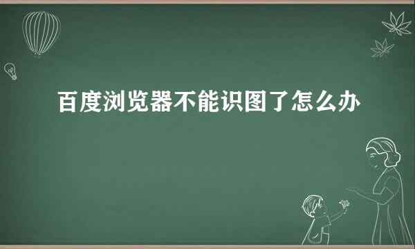 百度浏览器不能识图了怎么办
