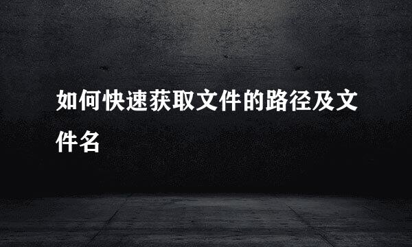 如何快速获取文件的路径及文件名