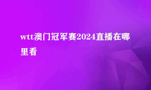 wtt澳门冠军赛2024直播在哪里看