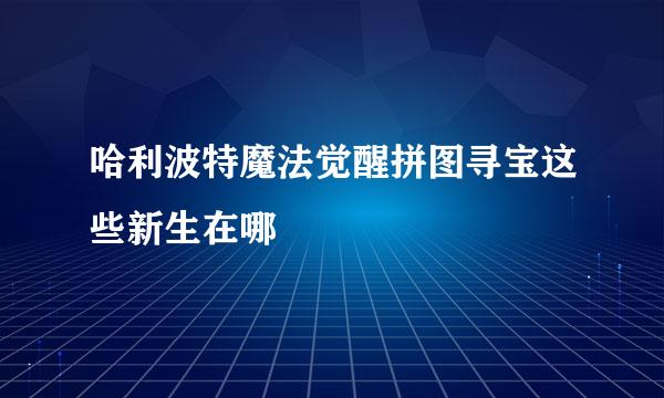 哈利波特魔法觉醒拼图寻宝这些新生在哪