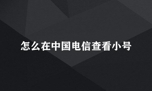 怎么在中国电信查看小号