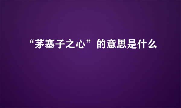 “茅塞子之心”的意思是什么