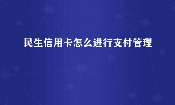 民生信用卡怎么进行支付管理