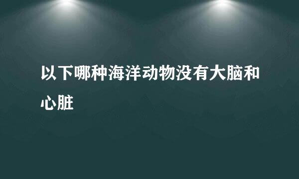以下哪种海洋动物没有大脑和心脏
