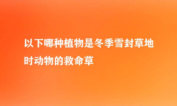 以下哪种植物是冬季雪封草地时动物的救命草