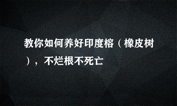教你如何养好印度榕（橡皮树），不烂根不死亡