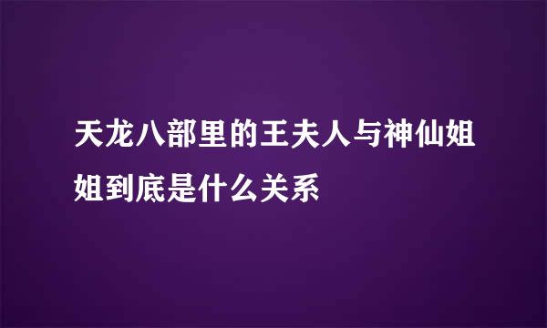 天龙八部里的王夫人与神仙姐姐到底是什么关系
