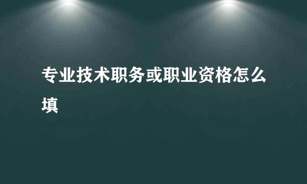 专业技术职务或职业资格怎么填