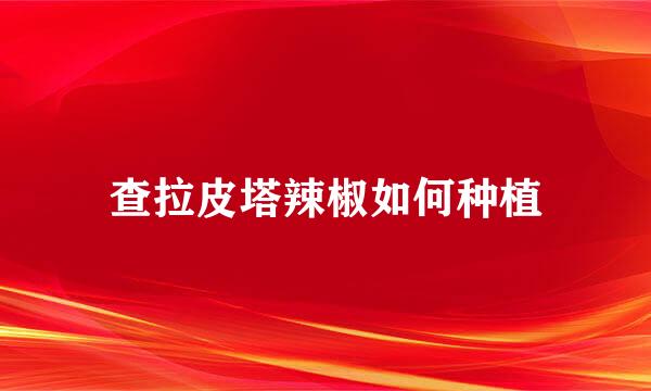 查拉皮塔辣椒如何种植