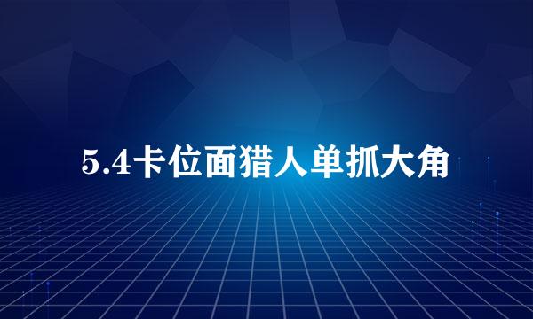 5.4卡位面猎人单抓大角