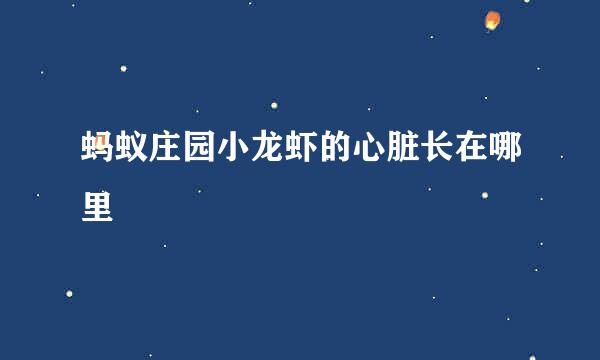 蚂蚁庄园小龙虾的心脏长在哪里