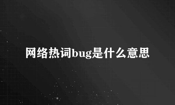 网络热词bug是什么意思