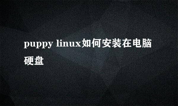 puppy linux如何安装在电脑硬盘
