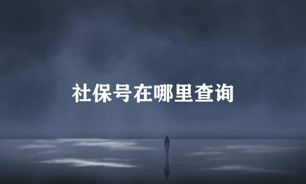 社保号在哪里查询