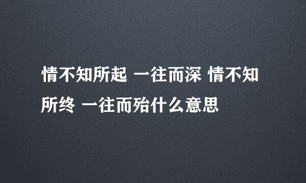 情不知所起 一往而深 情不知所终 一往而殆什么意思
