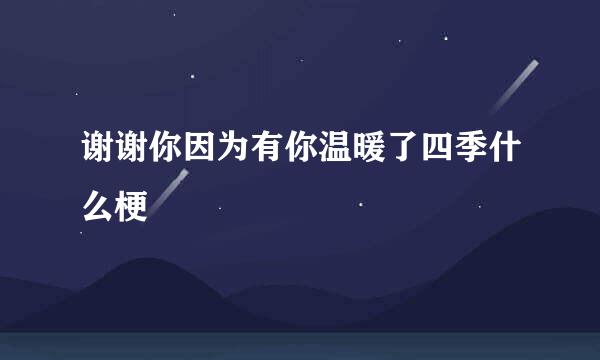 谢谢你因为有你温暖了四季什么梗