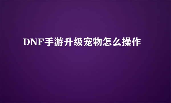 DNF手游升级宠物怎么操作