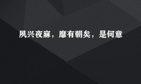 夙兴夜寐，靡有朝矣，是何意