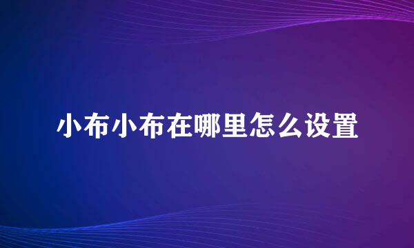 小布小布在哪里怎么设置