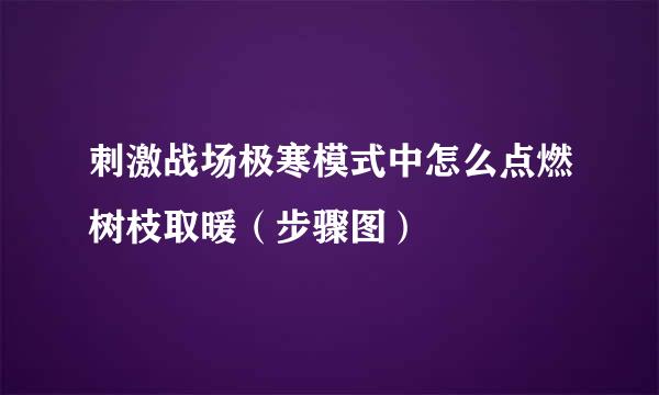刺激战场极寒模式中怎么点燃树枝取暖（步骤图）