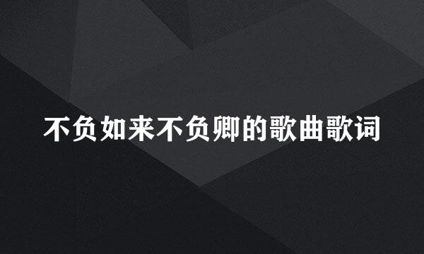 不负如来不负卿的歌曲歌词