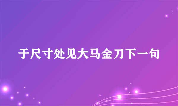 于尺寸处见大马金刀下一句
