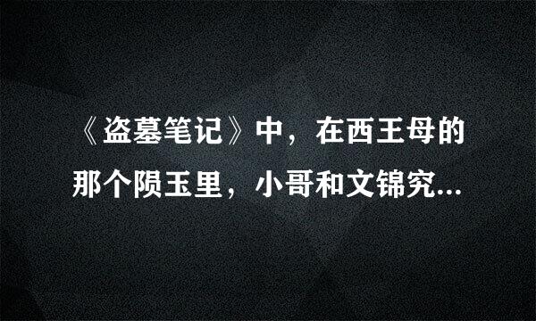 《盗墓笔记》中，在西王母的那个陨玉里，小哥和文锦究竟看到了什么