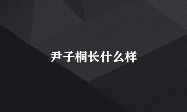 尹子桐长什么样