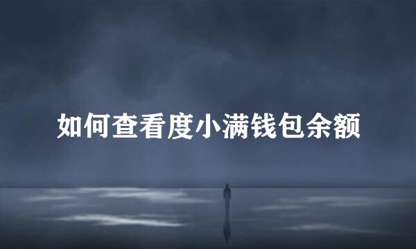 如何查看度小满钱包余额